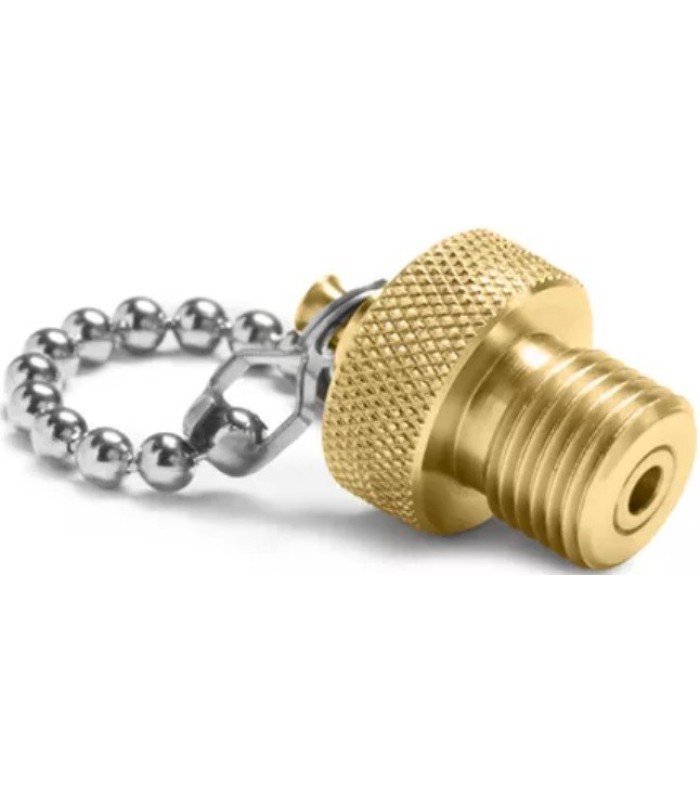 Ralston QTFT-PLGB Brass QT Plug and chain