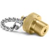 Ralston QTFT-PLGB Brass QT Plug and chain