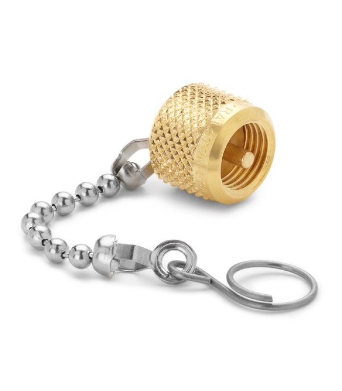 Ralston QTFT-CAPB Brass Cap & Chain Fitting