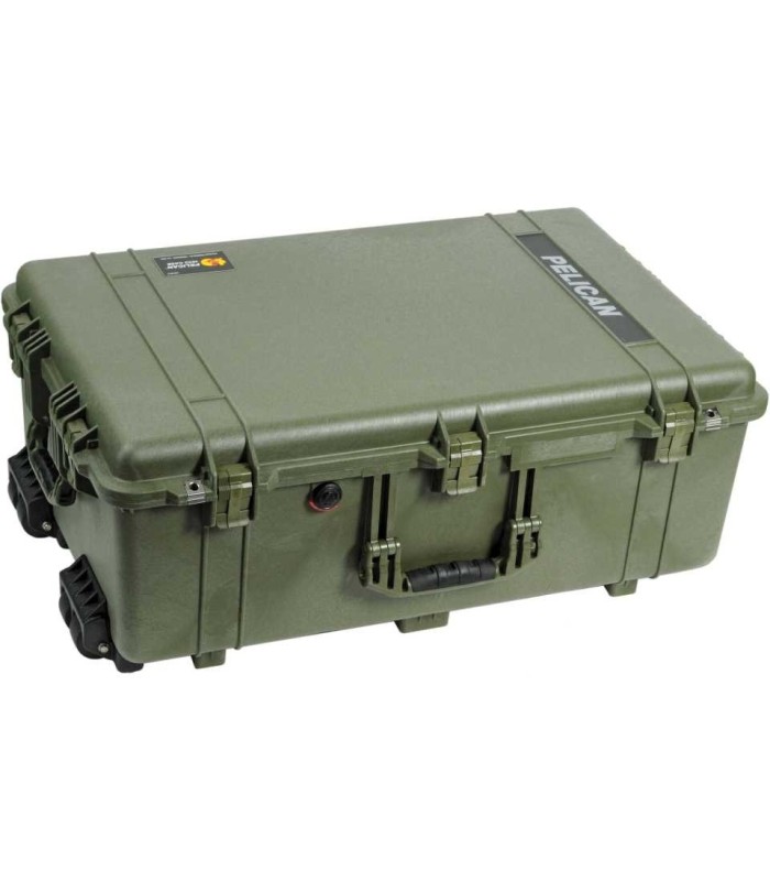 Pelican 1650 Protector Case with Foam (Olive Drab Green)