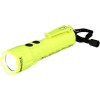 Nightstick XPP-5422GA Intrinsically Safe Dual-Light Torch
