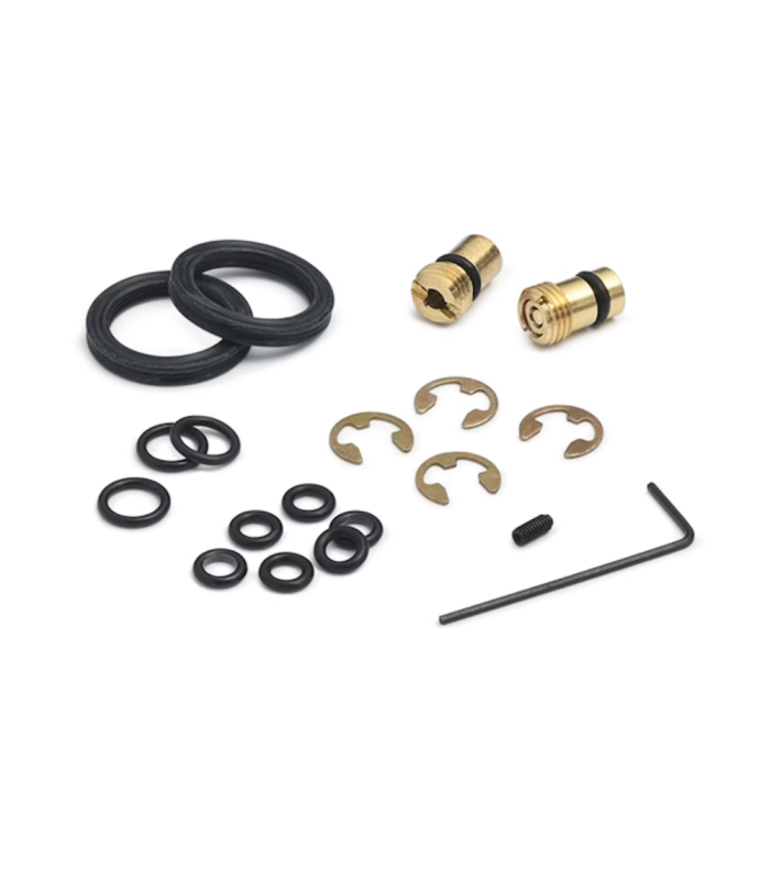 DPPV pumps repair kit, includes (1) pressure and (1) vacuum check valve, Viton Seals